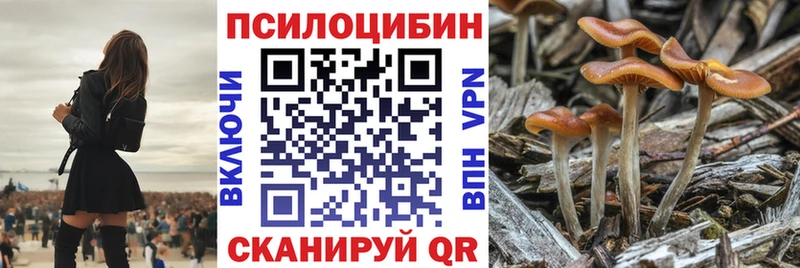 гидра сайт  Магадан  Галлюциногенные грибы Magic Shrooms 